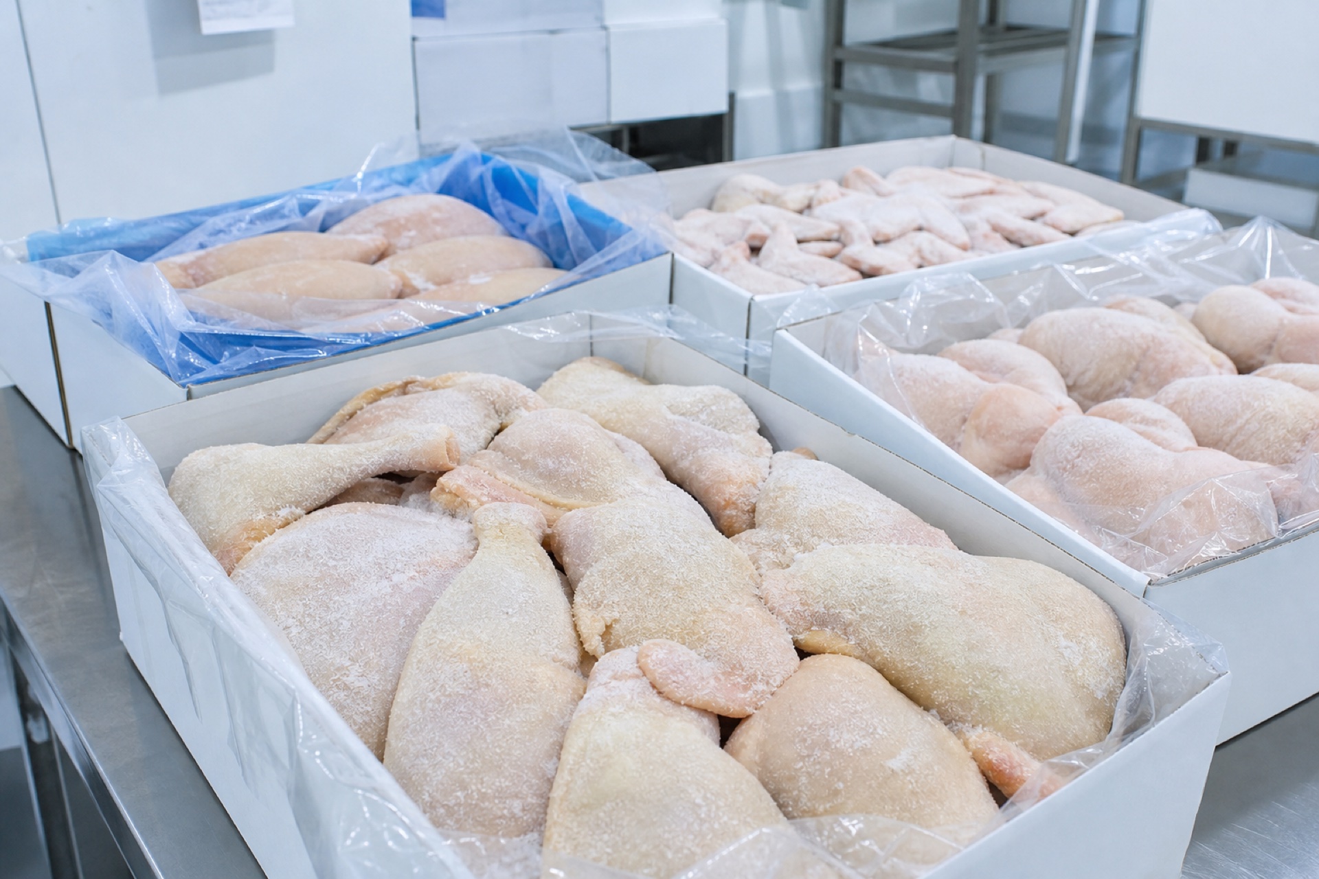 Frozen chicken whole birds and cuts in master cartons, IQF packed for export